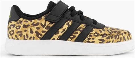 adidas panterprint schoenen|Adidas campus schoenen.